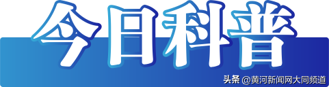 今日辟谣（2024年10月21日）-图4