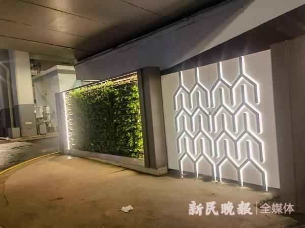 开车更安静 桥下更好玩 内环杨浦段变年轻了｜共建人民城市 共享美好生活-图3